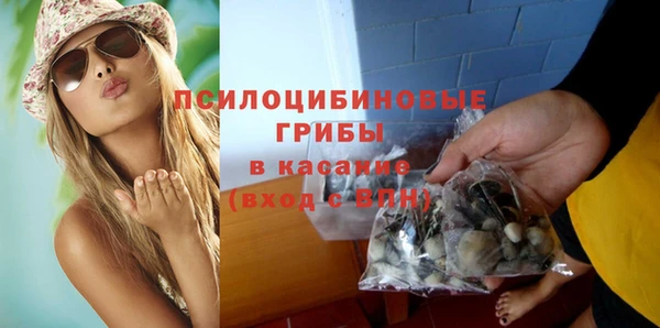 ПСИЛОЦИБИНОВЫЕ ГРИБЫ Белокуриха