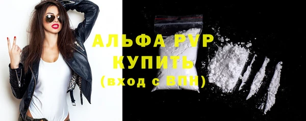 ПСИЛОЦИБИНОВЫЕ ГРИБЫ Белокуриха