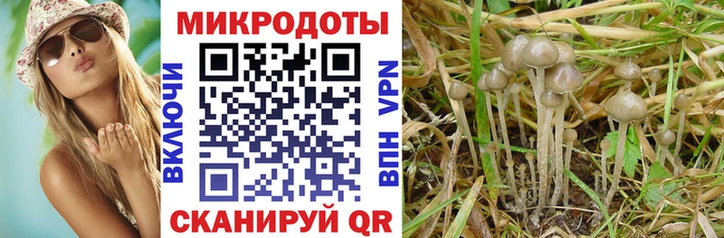 Псилоцибиновые грибы Psilocybe  наркошоп  Кинешма 